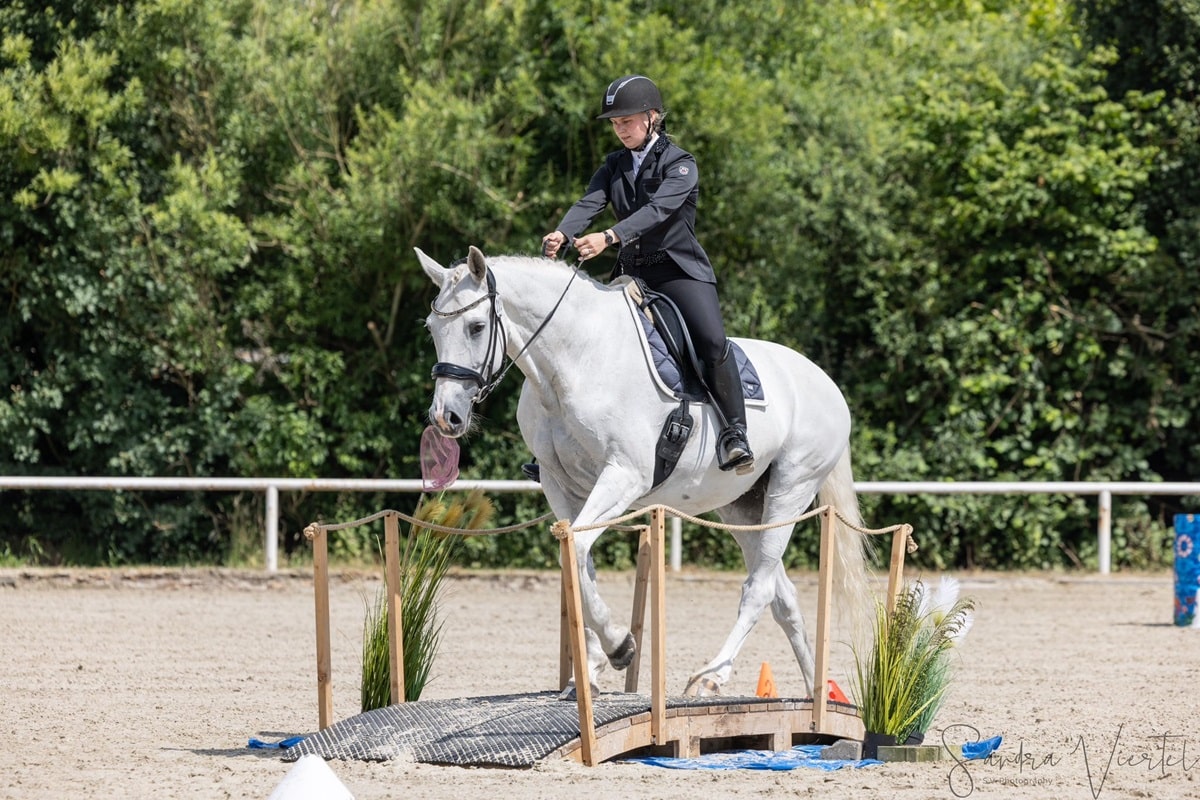 Seminar Working-Equitation