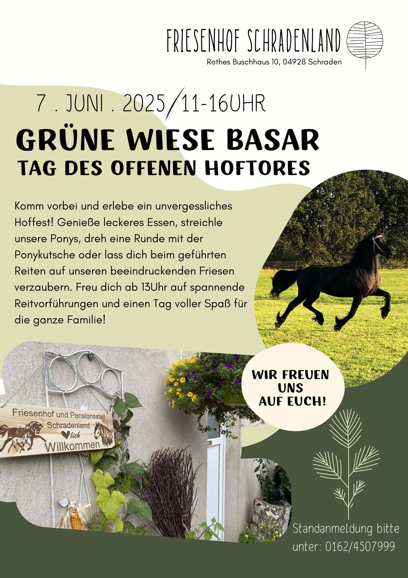 Grüne Wiese Basar – Tag des offenen Hoftores bei Madlen Päckert