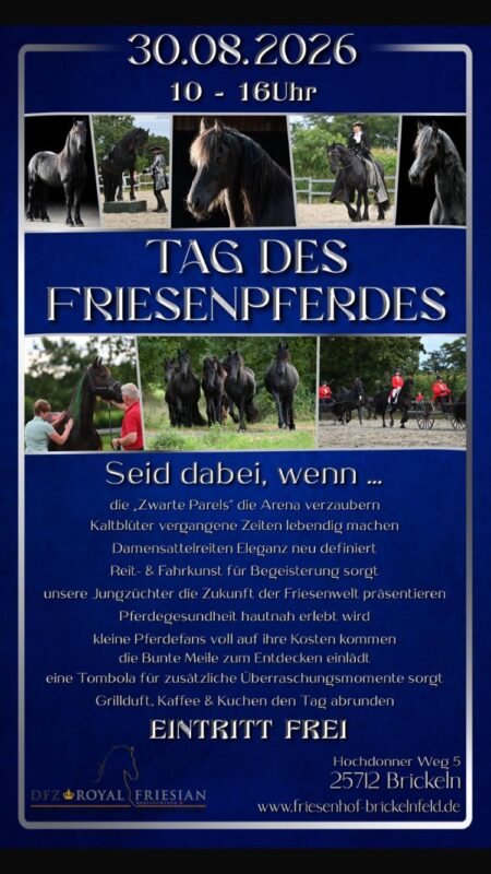 Tag des Friesenpferdes in Brickeln